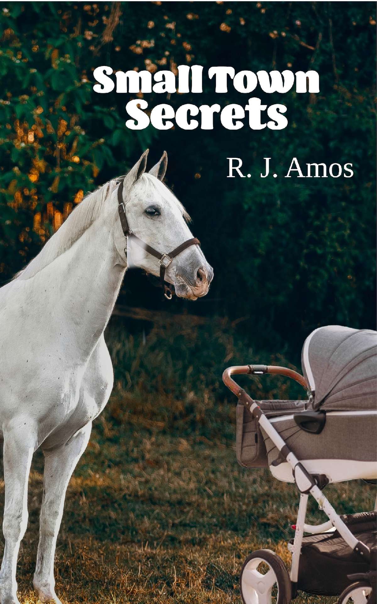 Small Town Secrets