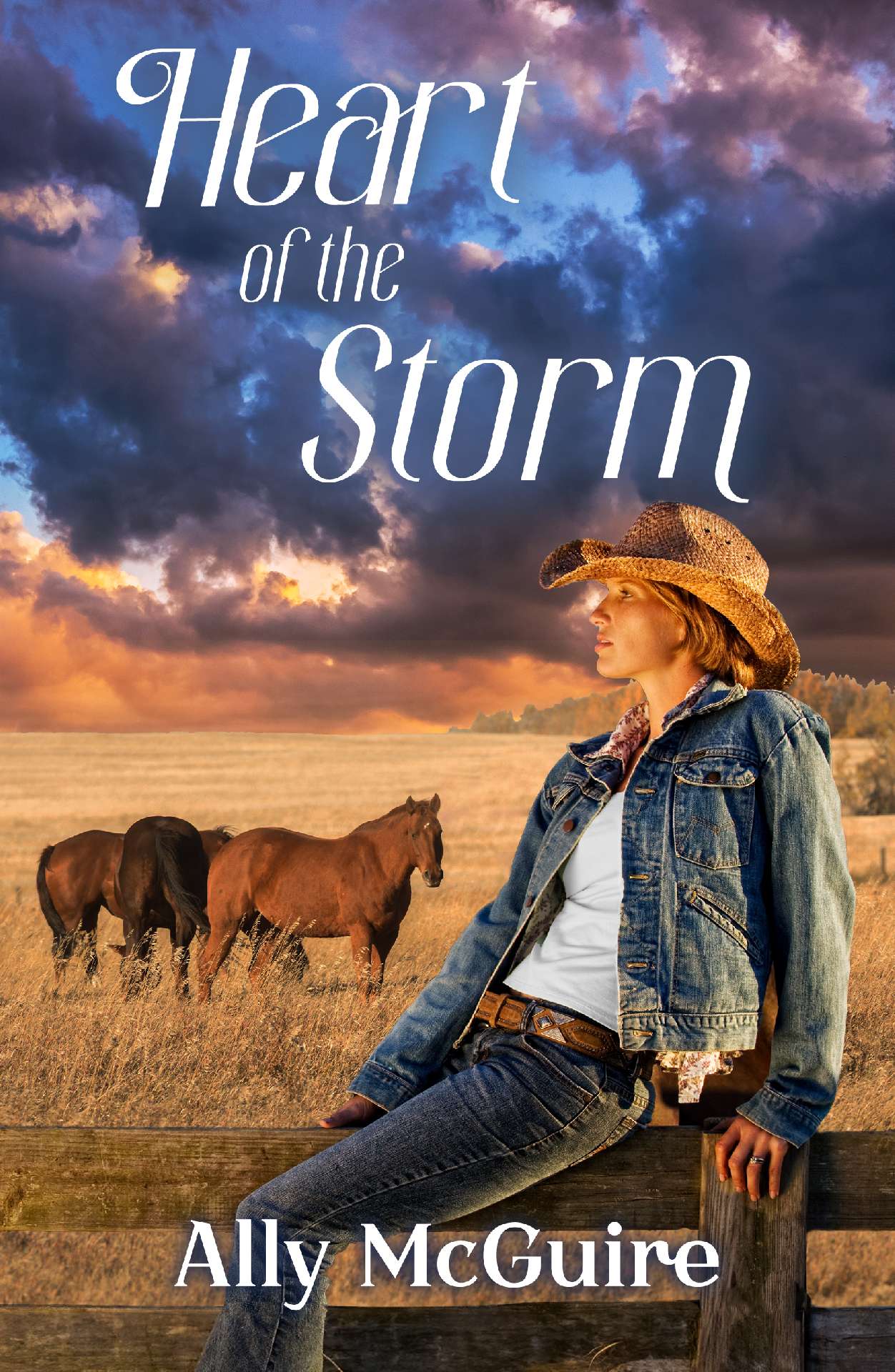 Heart of the Storm by Ally McGuire