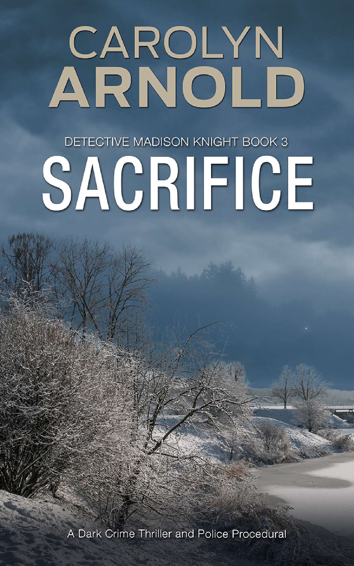 Carolyn Arnold - Sacrifice - Detective Madison Knight Series 3