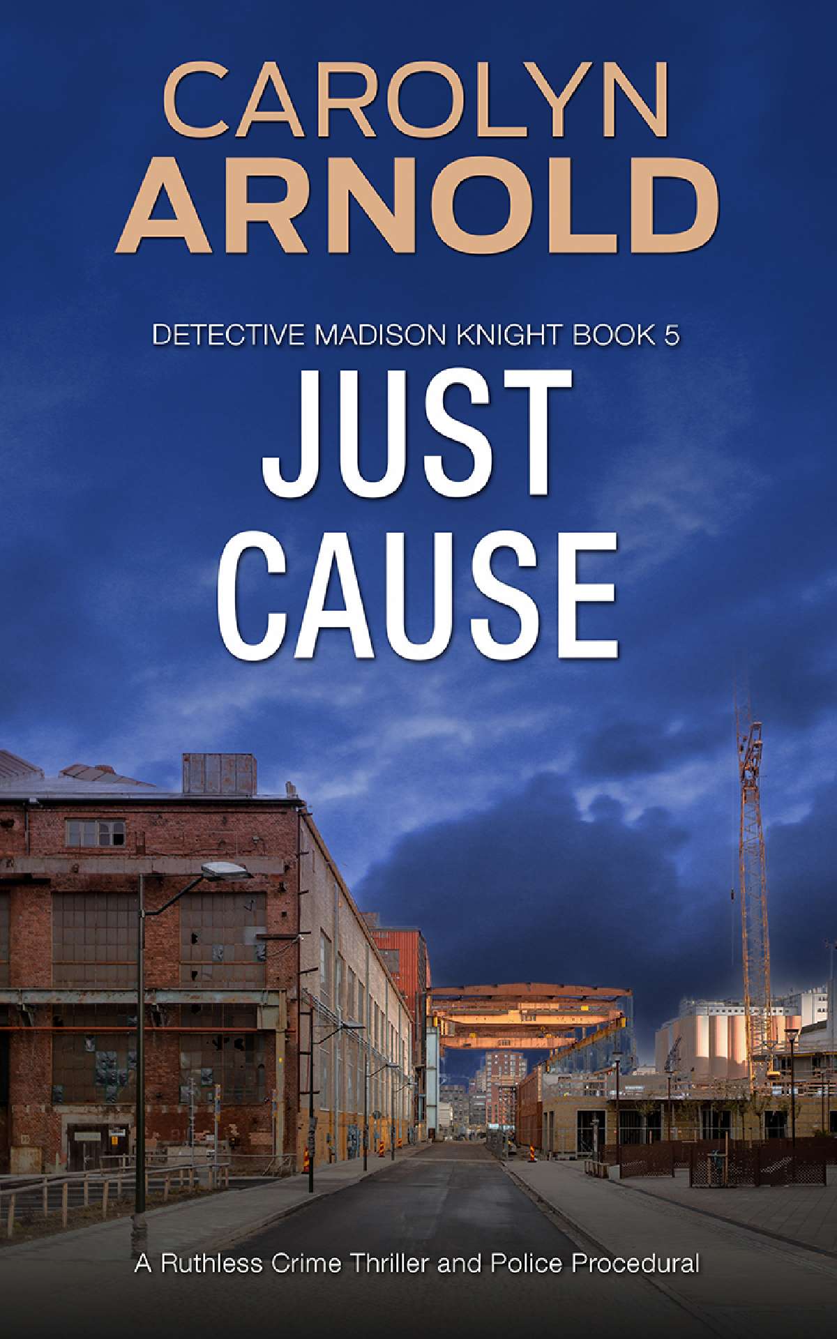 Carolyn Arnold - Just Cause - Detective Madison Knight Series 5