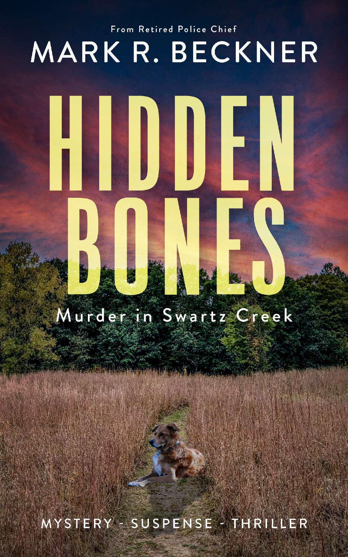 Hidden Bones