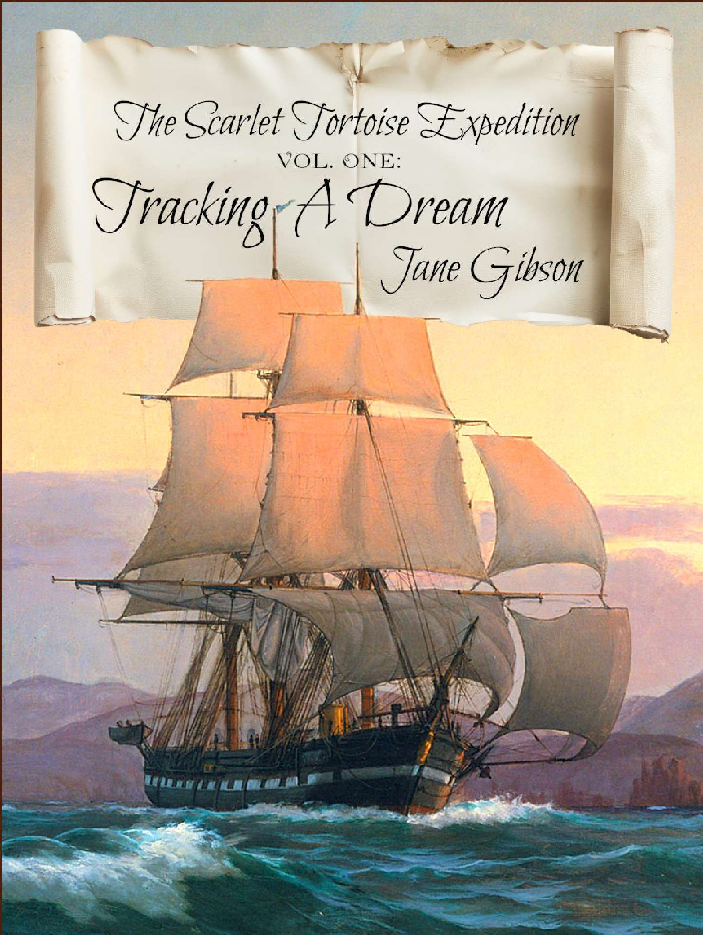 Tracking A Dream