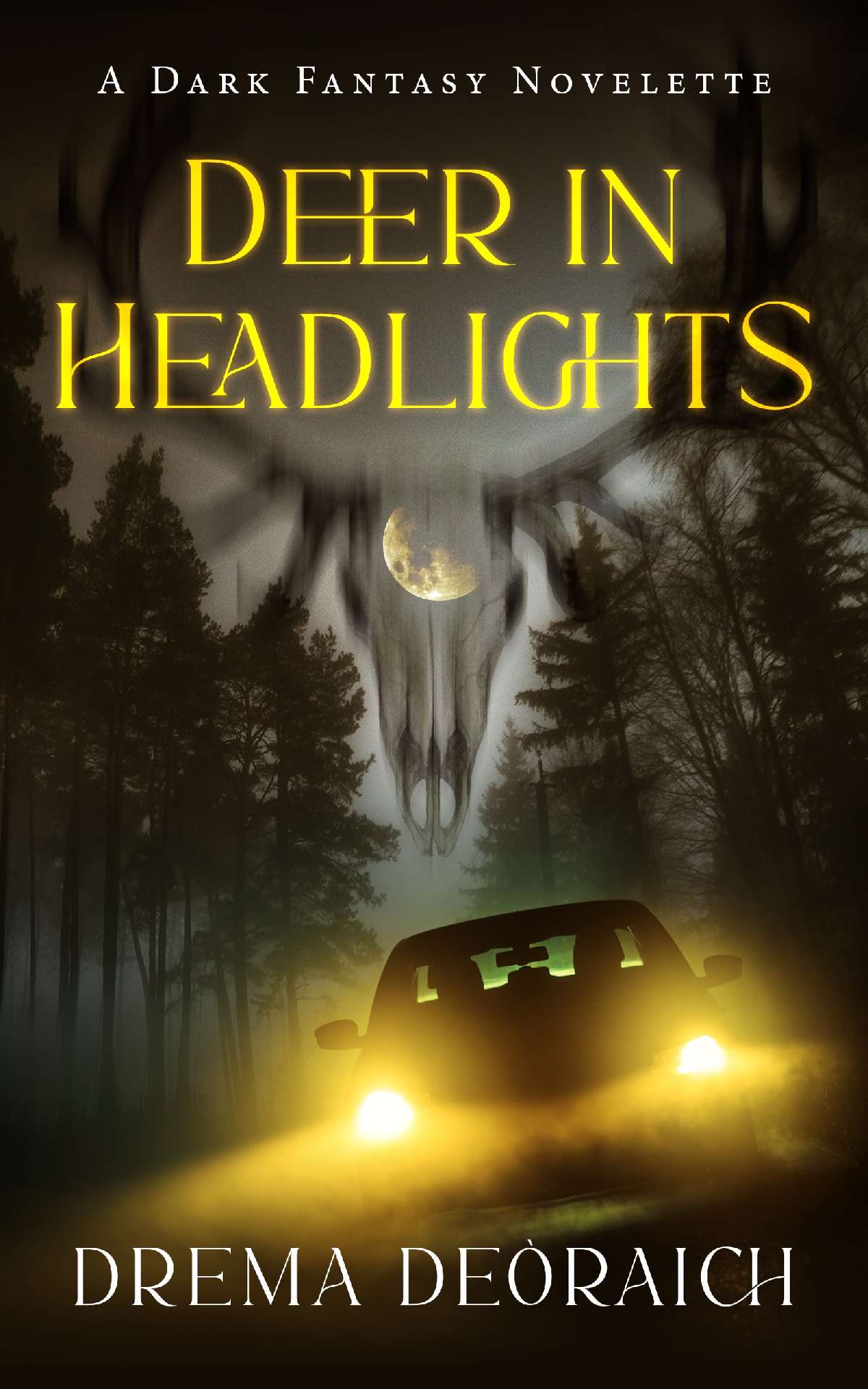 Deer in Headlights