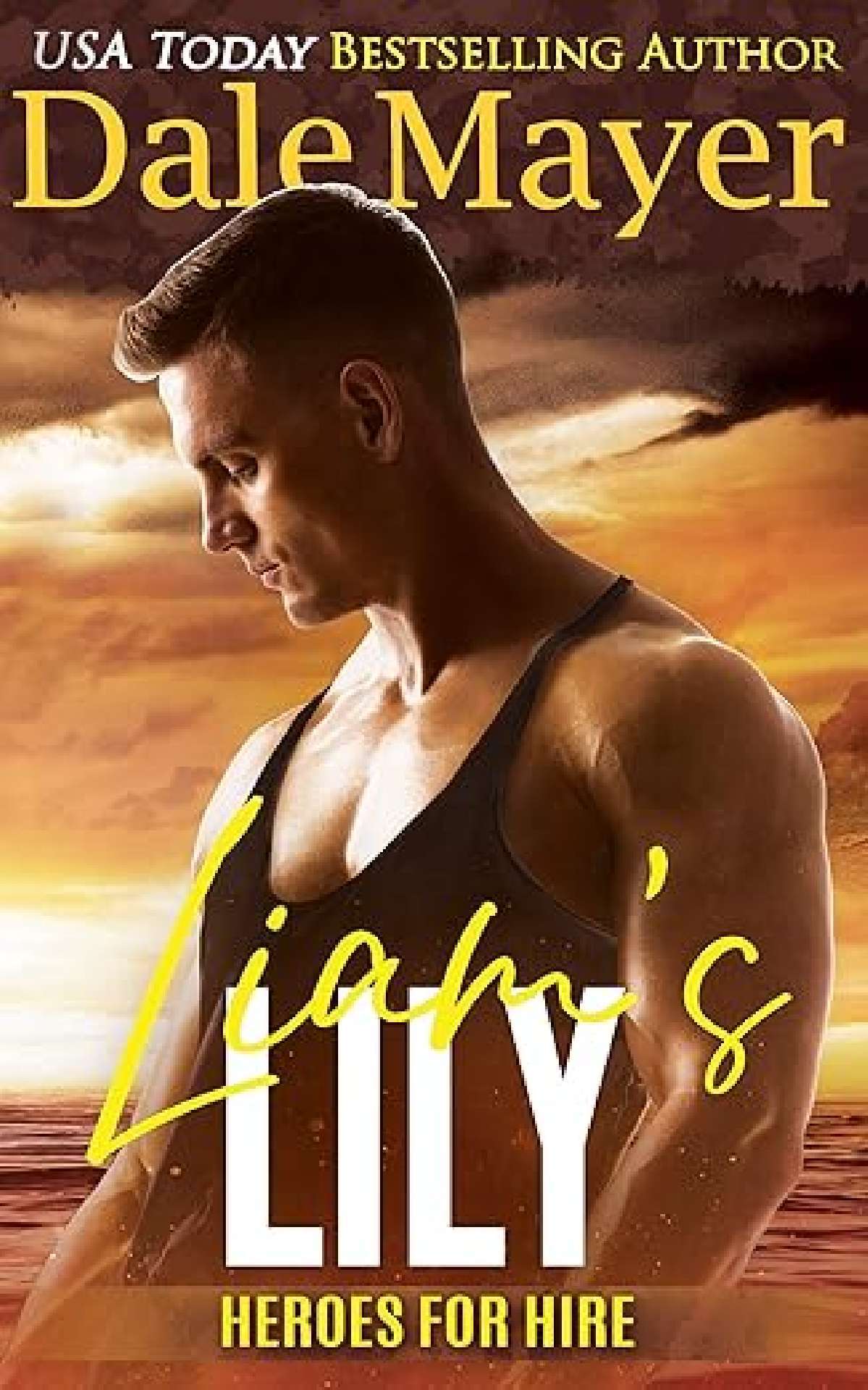 Dale Mayer - Liam’s Lily - Heroes for Hire 15