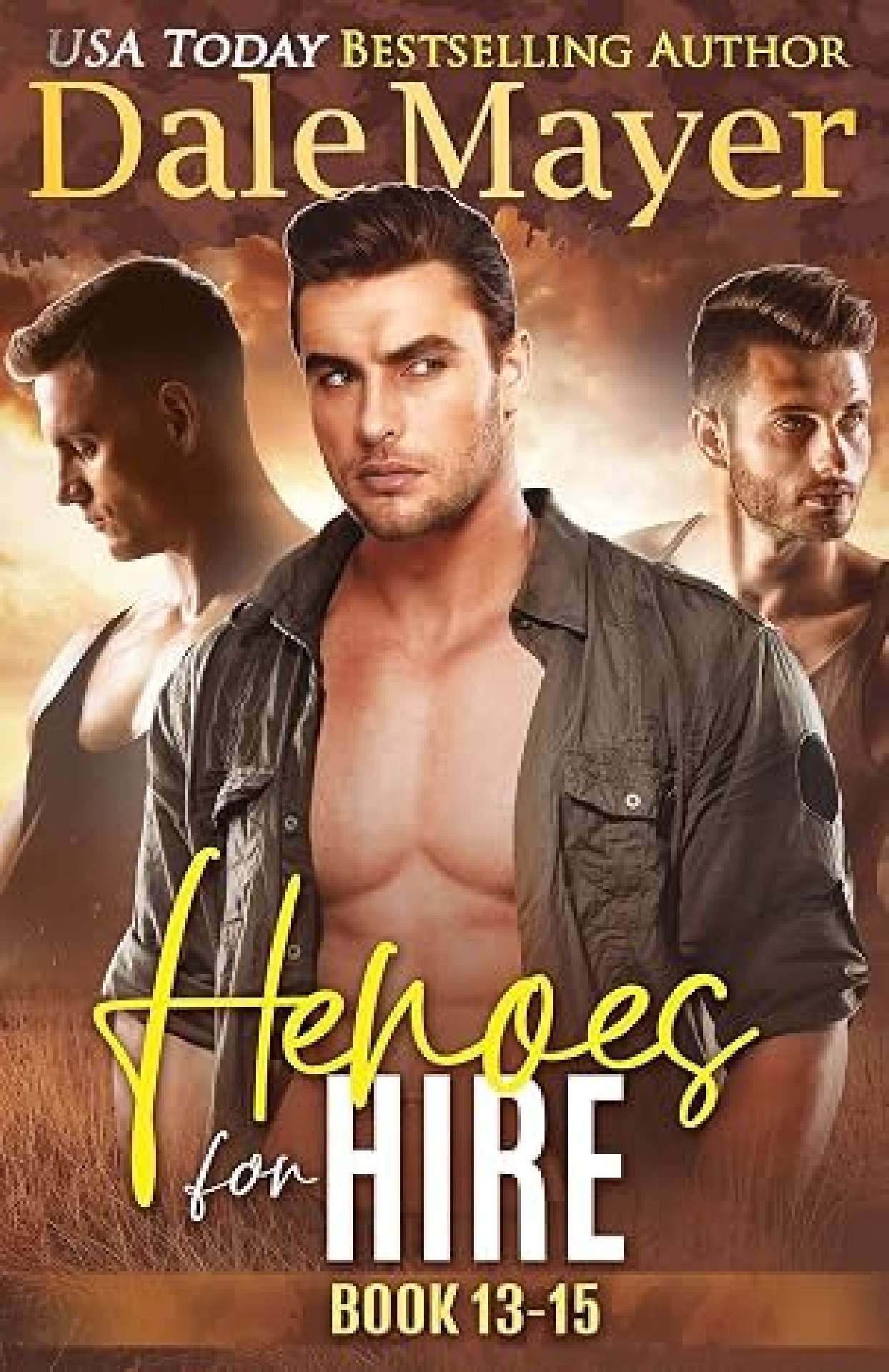 Heroes for Hire: Books 13-15