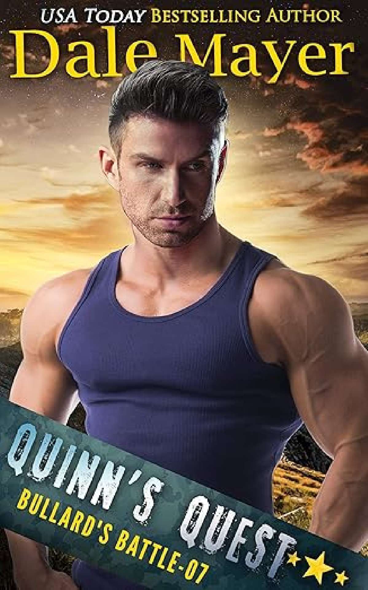 Dale Mayer - Quinn's Quest - Bullard's Battle 7