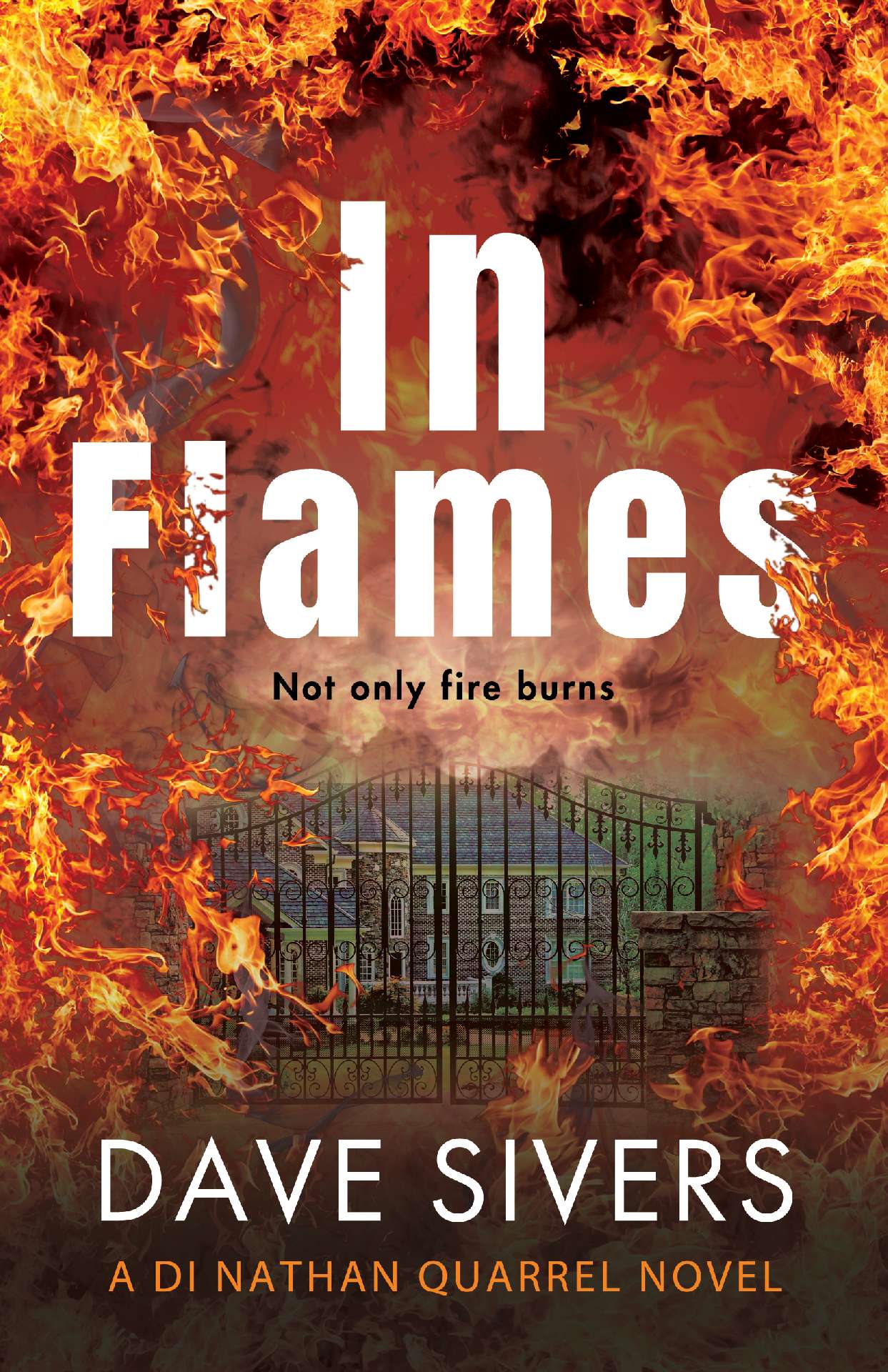 IN FLAMES: A nerve-stretching, addictive thriller
