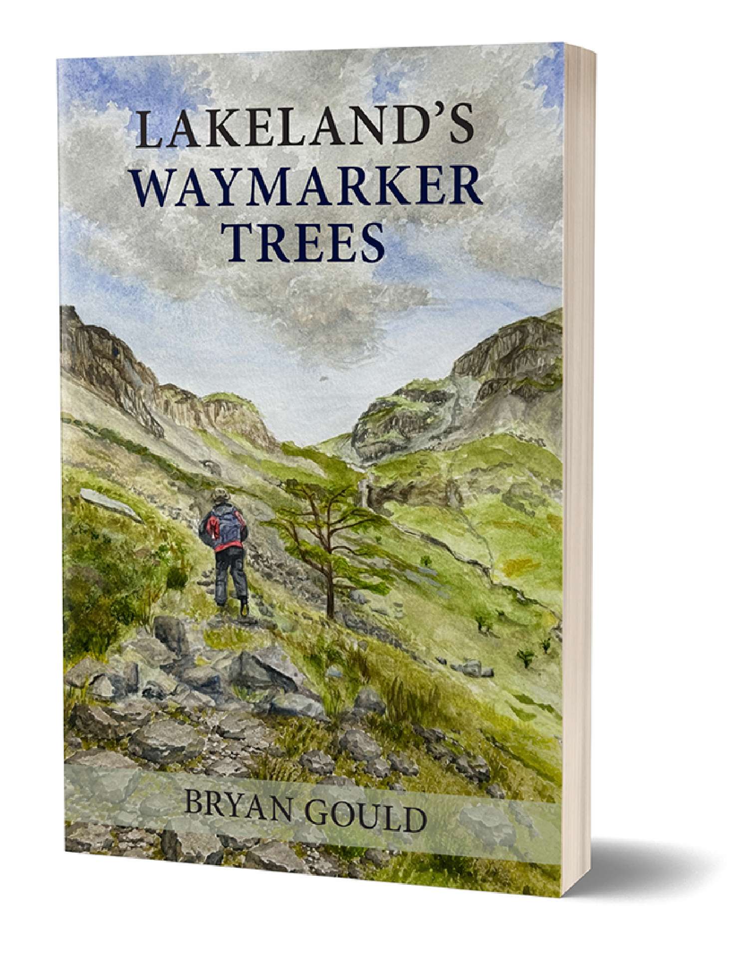 Lakeland's Waymarker Trees
