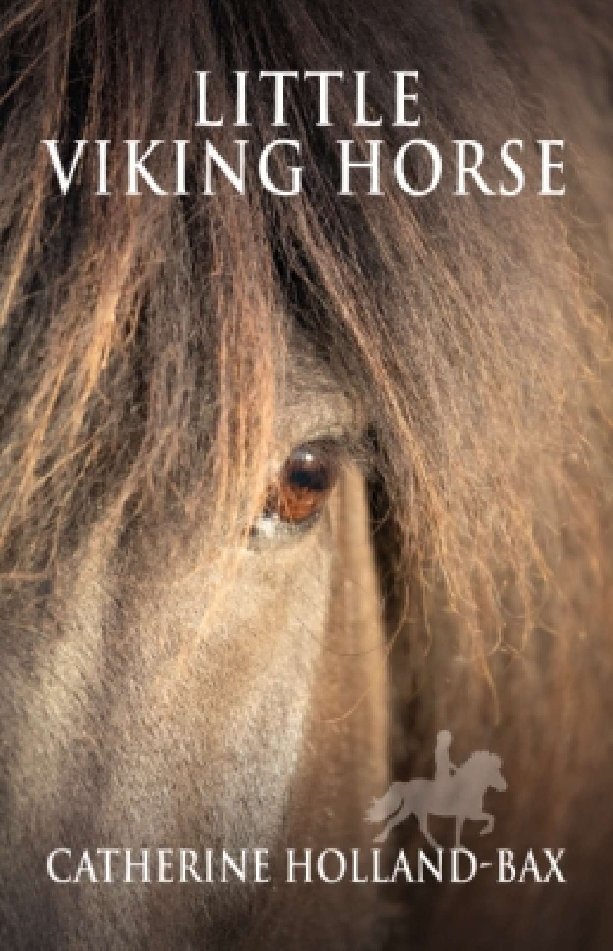 Little Viking Horse