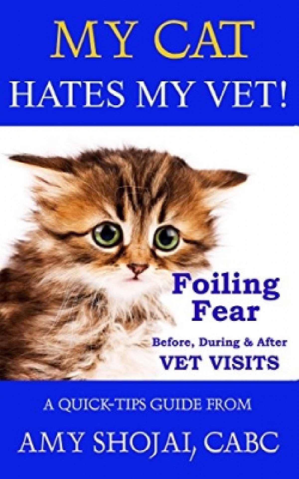 My Cat Hates My Vet! Foiling Fear Before, During & After Vet Visits (A Quick Tips Guide #3)