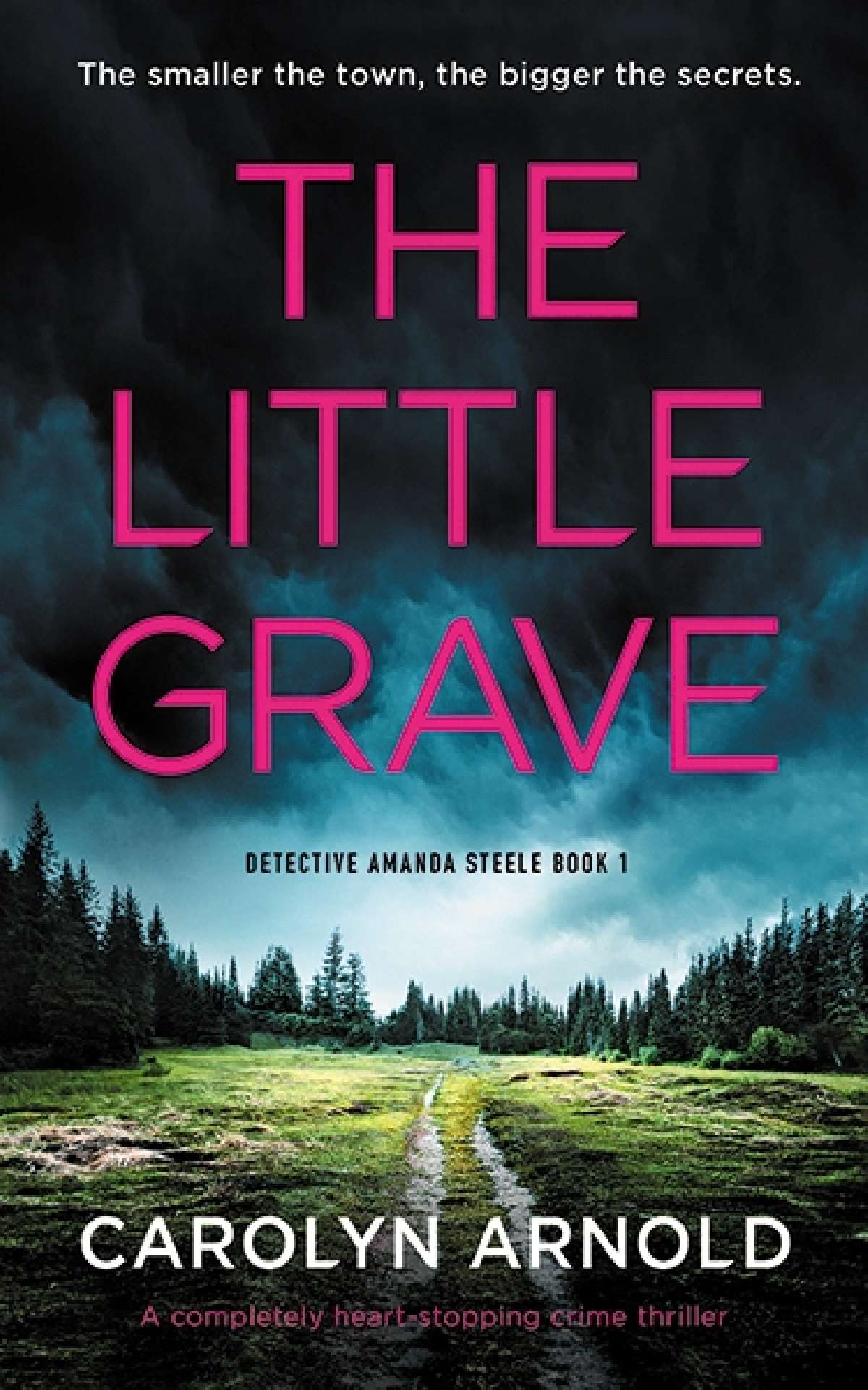 Carolyn Arnold - The Little Grave - Detective Amanda Steele Series 1