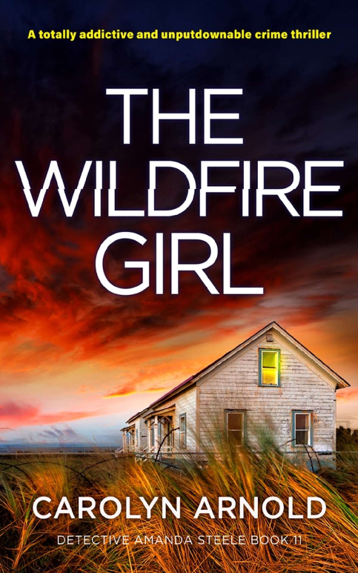 Carolyn Arnold - The Wildfire Girl - Detective Amanda Steele Series 11