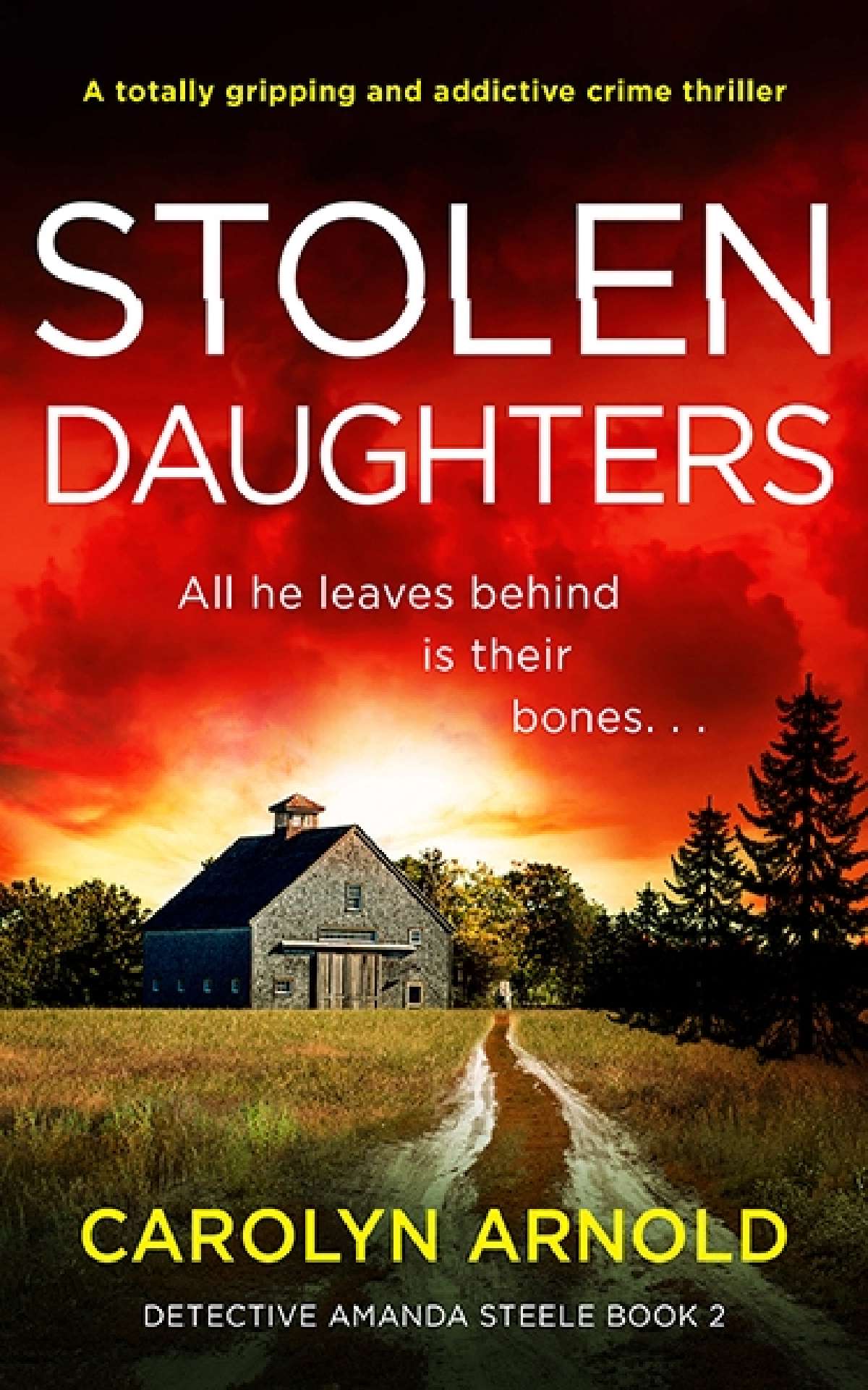 Carolyn Arnold - Stolen Daughters - Detective Amanda Steele Series 2