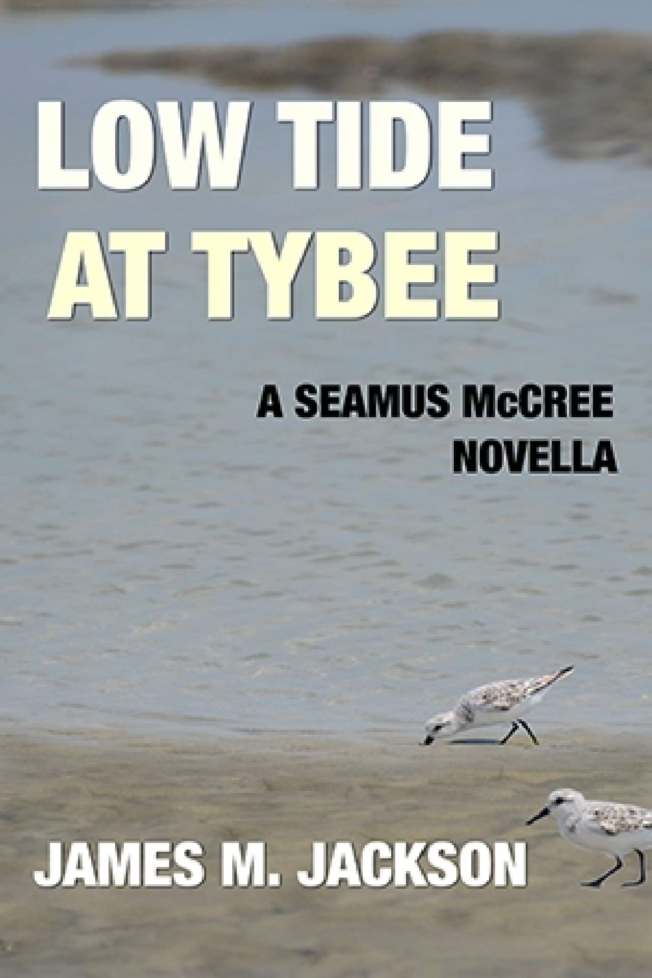 Low Tide at Tybee:  A Seamus McCree Novella