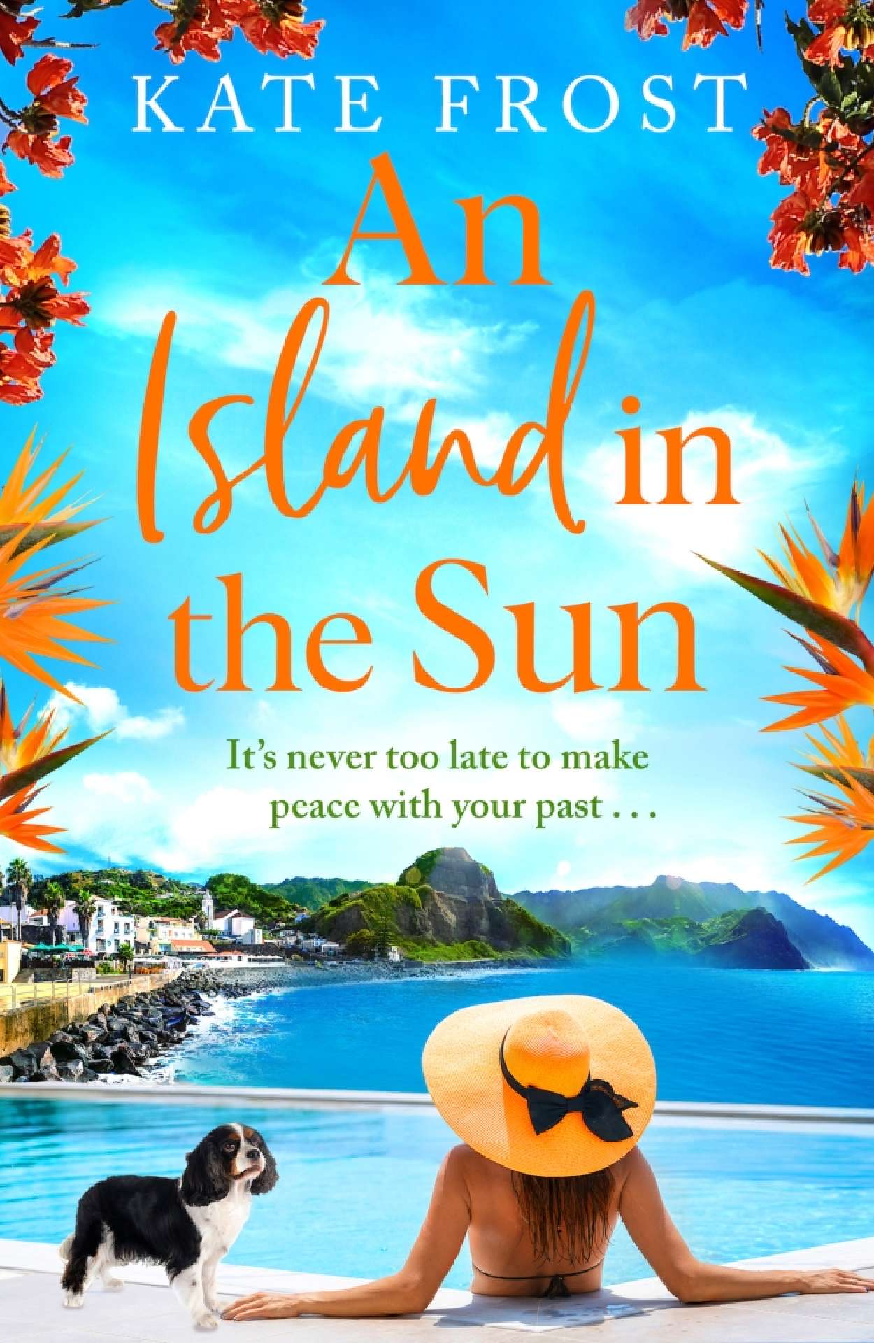 An Island in the Sun