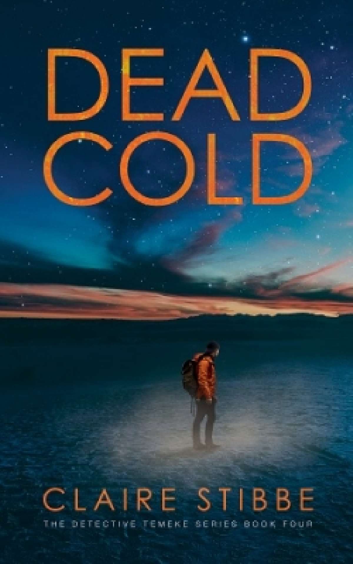 Dead Cold - Book 4 of the Detective Temeke Crime Series
