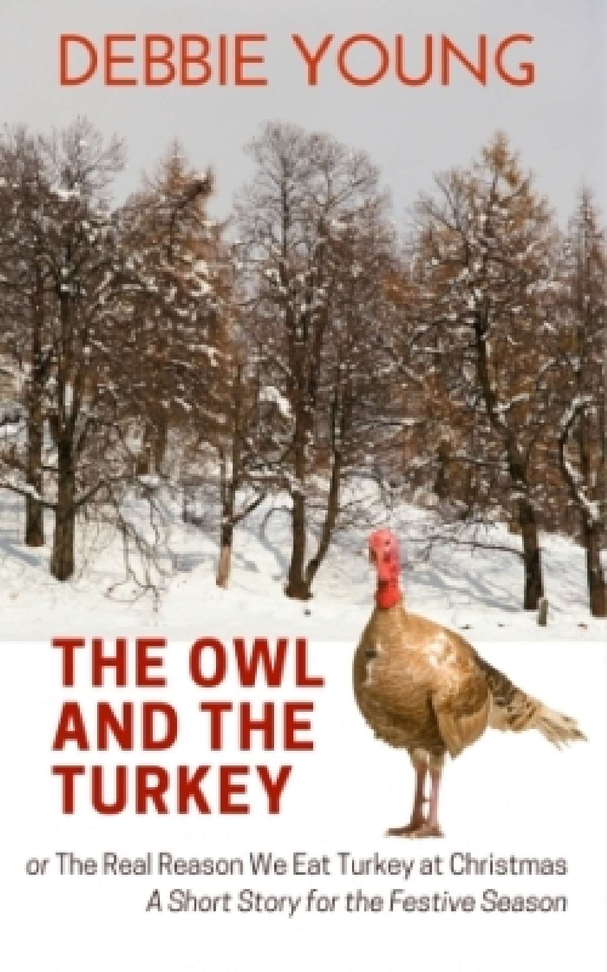 The Owl and The Turkey  - A Short Story for Christmas